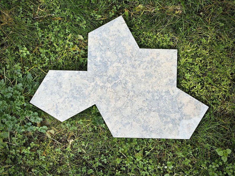 Spectre Aperiodic Monotile