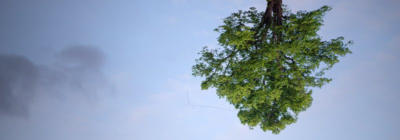 Berlin sky with Tallinn tree by Niels Plotard