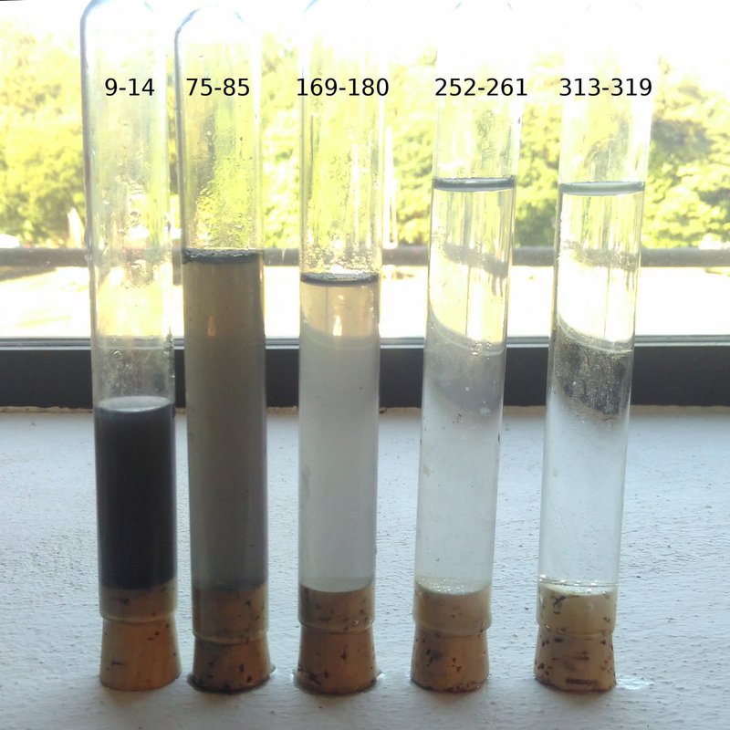 Test tubes filled with water with different levels of cloudiness (turbidity)