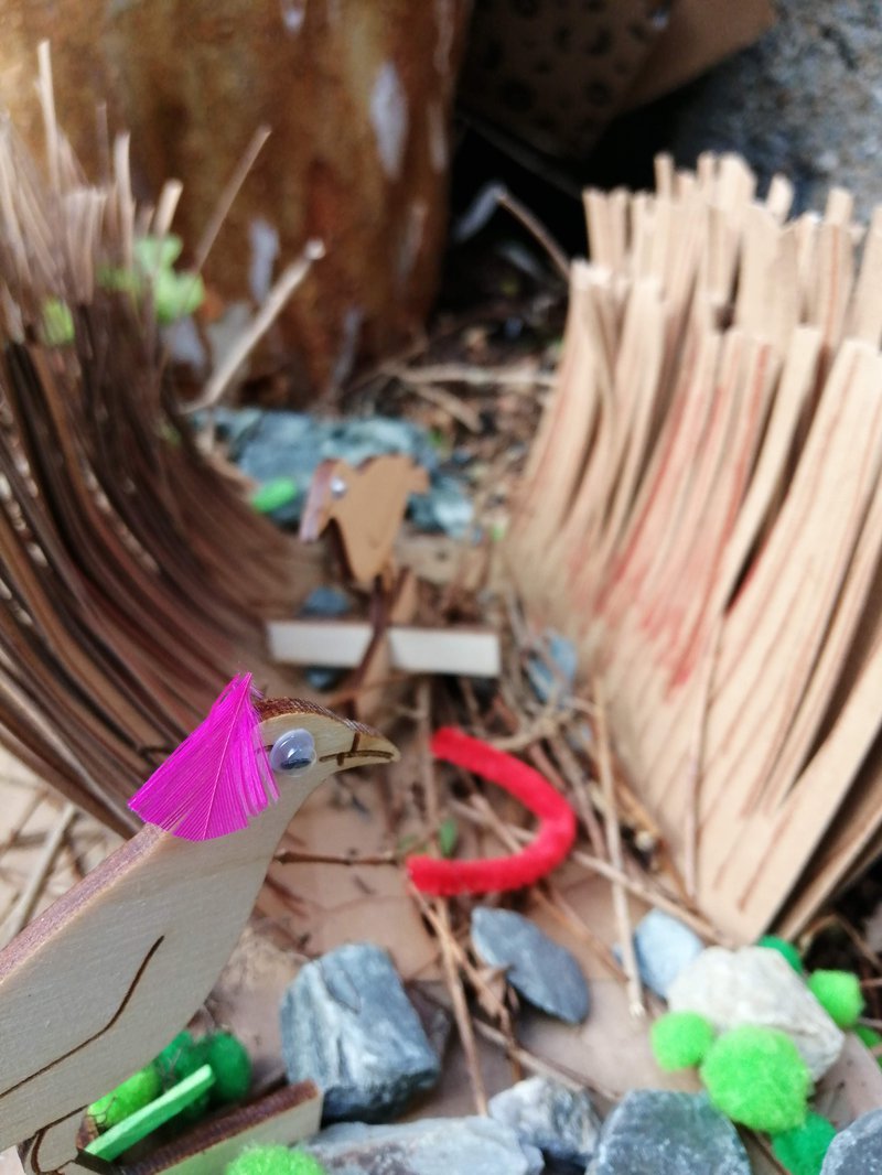 Close up of a wood bower bird with a googly eye and a bright pink feather stuck to its head