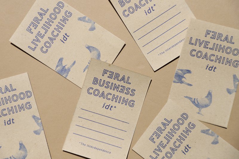 feral_livelihood_coaching_notweed_cards.JPG
