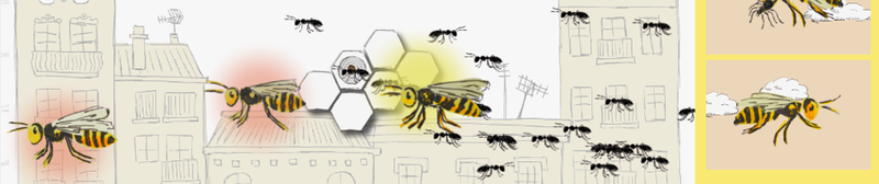 wasp-banner.png